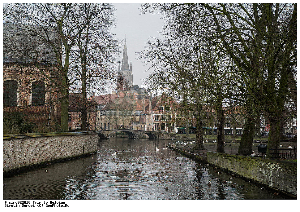 �������, �����������, ��������, �����, �����, ������, �����, �������, �������, ������� ����������, ��������, �������� ��������, ������