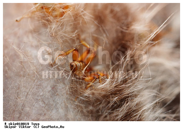 ��������, ��������, �������� �� ������� ����, ����, ������� ����