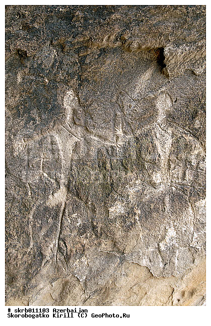 �����������, ��������, �����, ���������� �������, ����������, �������