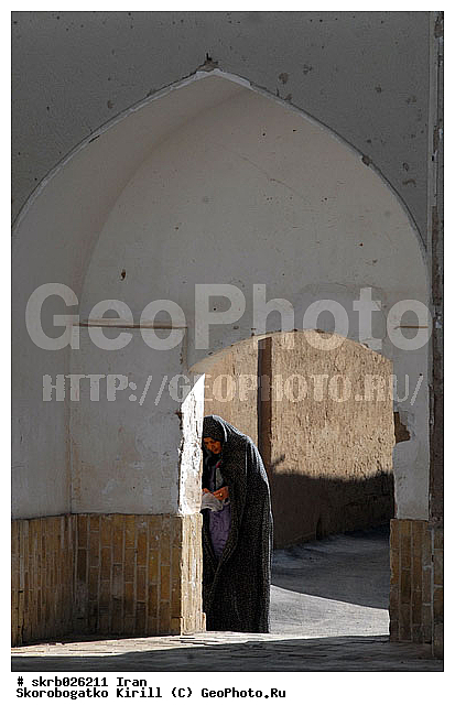 ����, ���, �����, �������, �����, ������