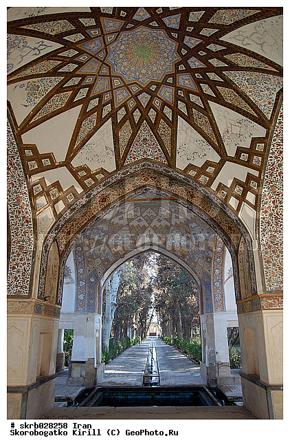 �����, �����, ��������, ���