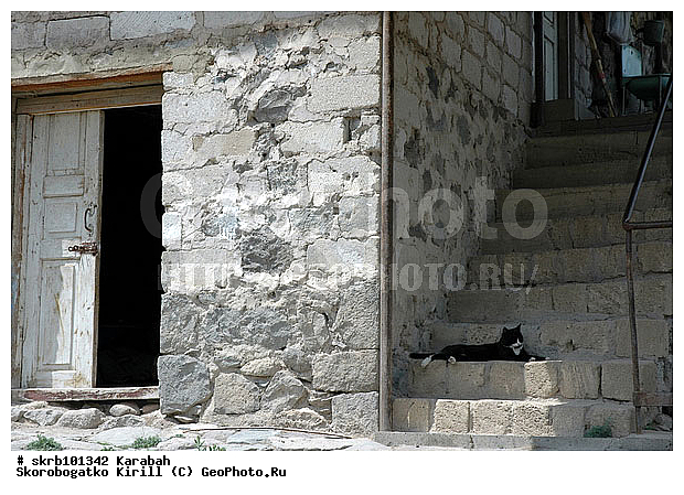 �������, �������-����������� ����������, �������� �������, ��������� �����������