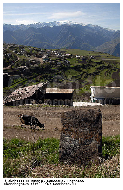 ��������, ������, �������, ����, ���, ������, ��������, ������, ���������� ������, ��������, ����, �����