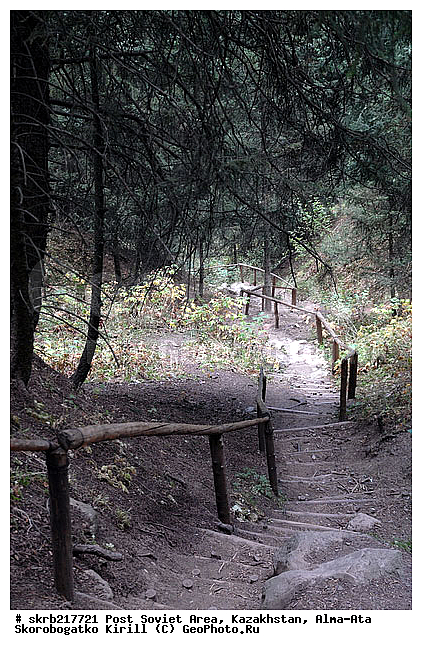 �����, ����-���, ���������, ����, ������, ��������, ��������, ������