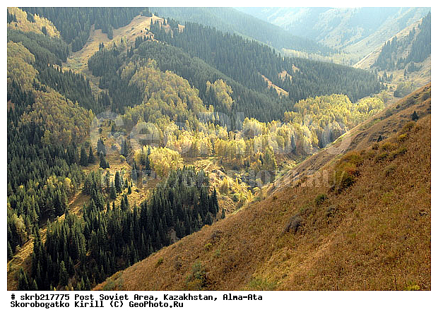 �����, ����-���, ���������, ����, ������, ��������, �����, ������