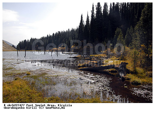 ���������������, ��������, ����������, �����-���-���, ����-����, ���-��-���, ����, ����, ������, ������, �����, ��������