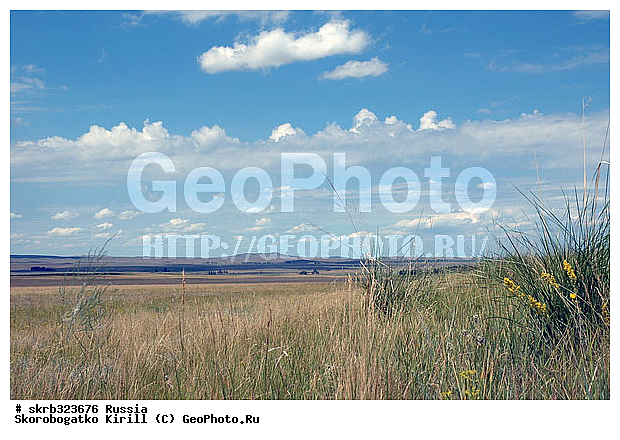 ������������ �������, ������, �����