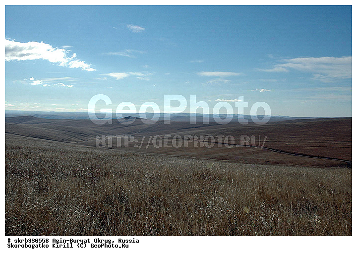 �������� ��������� �����, ������������� ����, �����