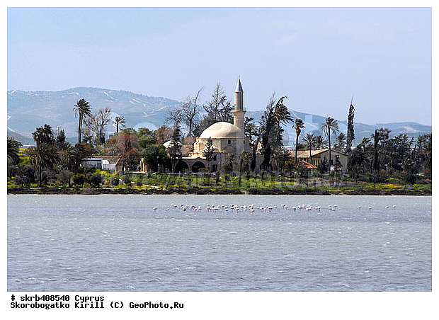 ����, �������, ����-������-�����, ������