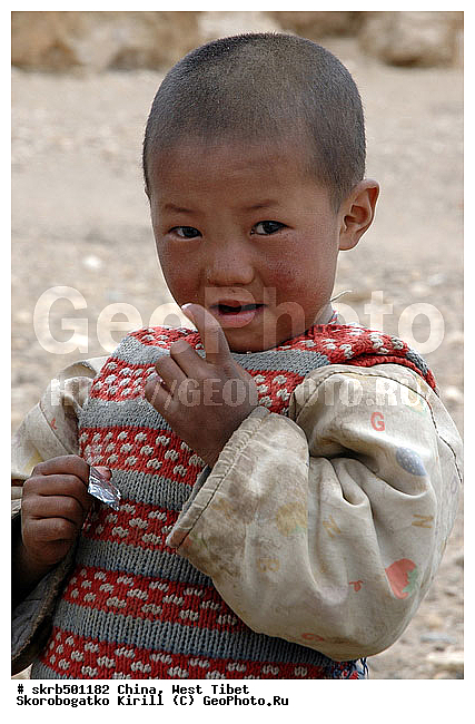 �����, ���������, ������, �����, ������, �������, �����