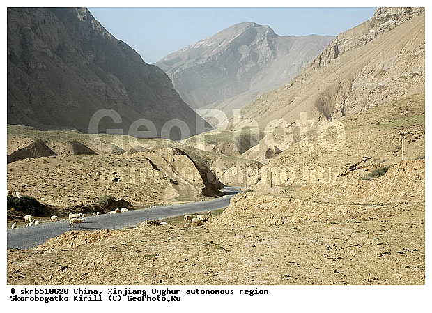 �����, ��������, ��������-��������� ���������� �����, ����