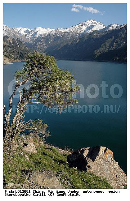 �����, ��������-��������� ���������� �����, ����-����, �����, ����, ����, �����