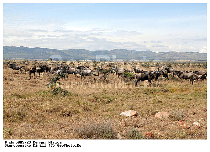 ������, ��������� ������, �����, ����� ����, ��������, �������� ���, ���, ��������, �������������, �����