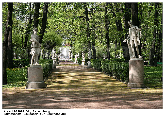 �����-���������