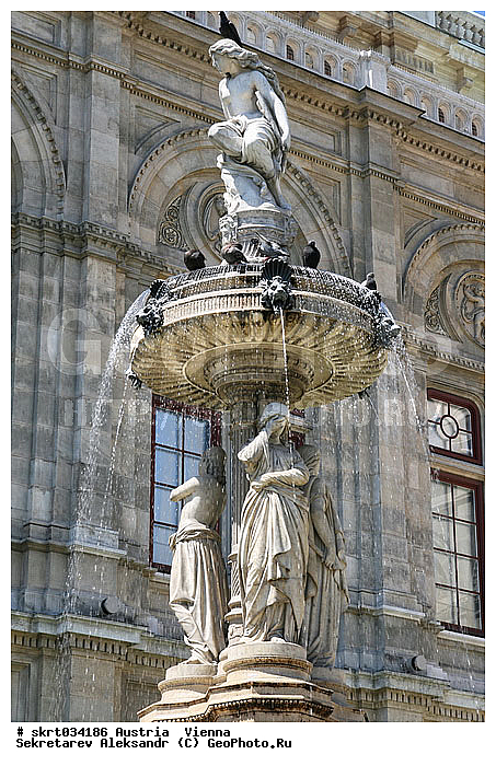 �������, ����