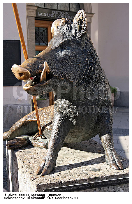 ��������, ������