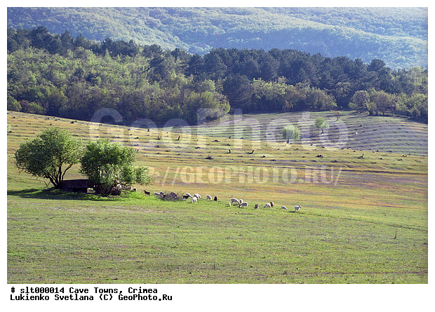 ����, ����, ����, ����, �������� ������