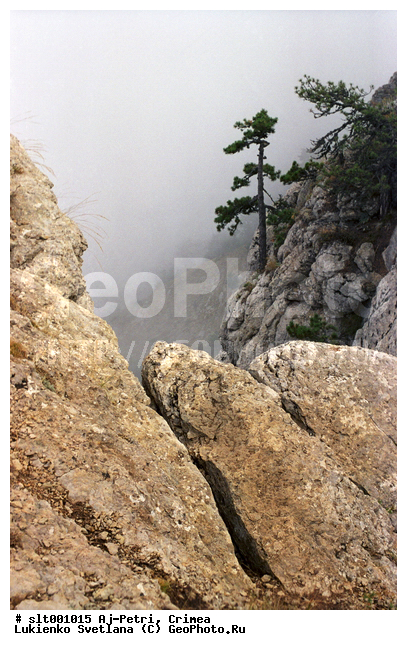 ��-�����, ����, �������� ����, ����, ����, ������, ��������, �����, �����, �����