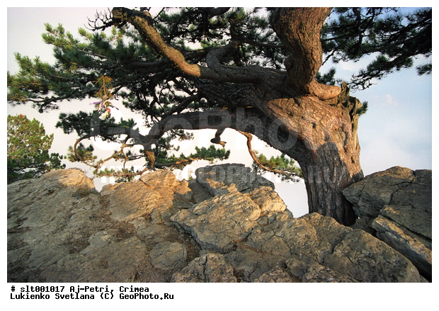 ��-�����, ����, �������� ����, ����, ������, �����, �������� ����, ������, �����, �����, �����, �����