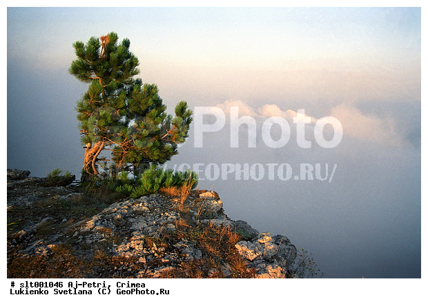 ��-�����, �������� ����, ����, ����, �������� ����, ������, ������, �����, ��������, �����, �����