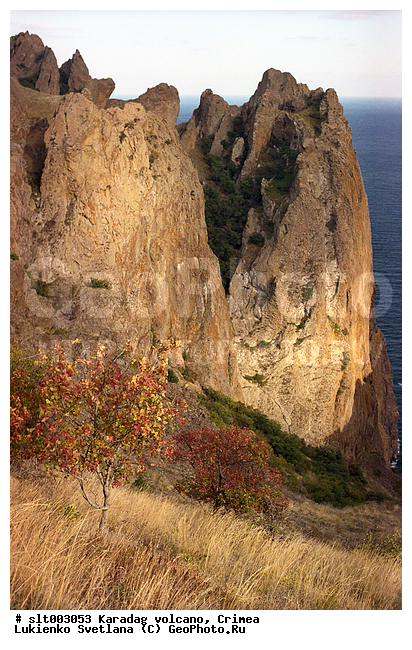 ����-���, �������, ����, ����-����, �������, ������, ����, ����, �����, ����������, �����, �����