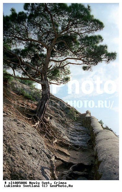 ����������� �����, ����, ����� ����, �����, ������, �����, �����, �����, ����� ��������