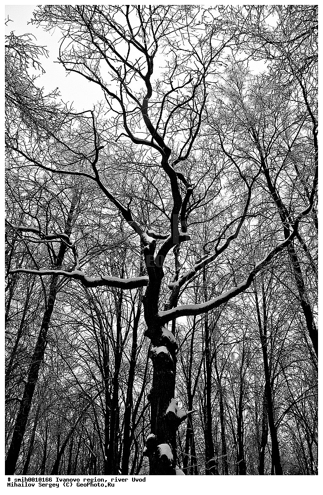 ���������� �������, ���� �����, ������