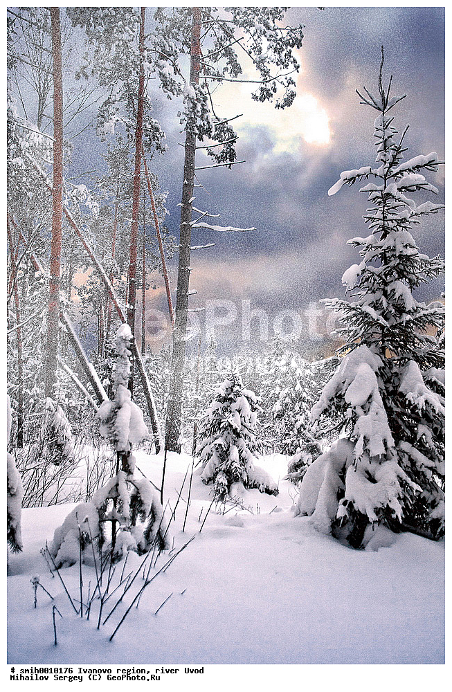 ���������� �������, ���� �����, ������