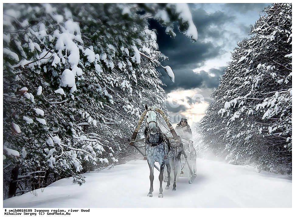 ���������� �������, ���� �����, ������