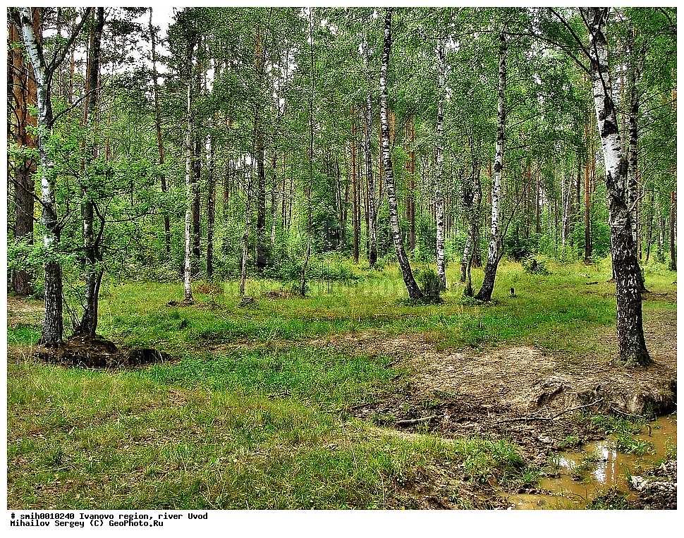 ���������� �������, ���� �����, ������