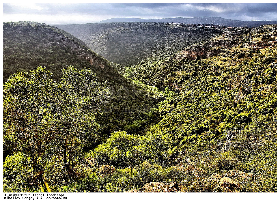 �������, ������