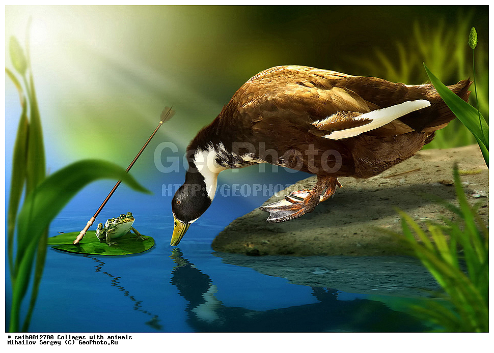 ������, ��������