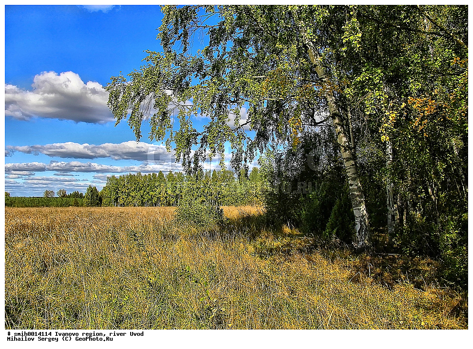 ���������� �������, ���� �����, ������