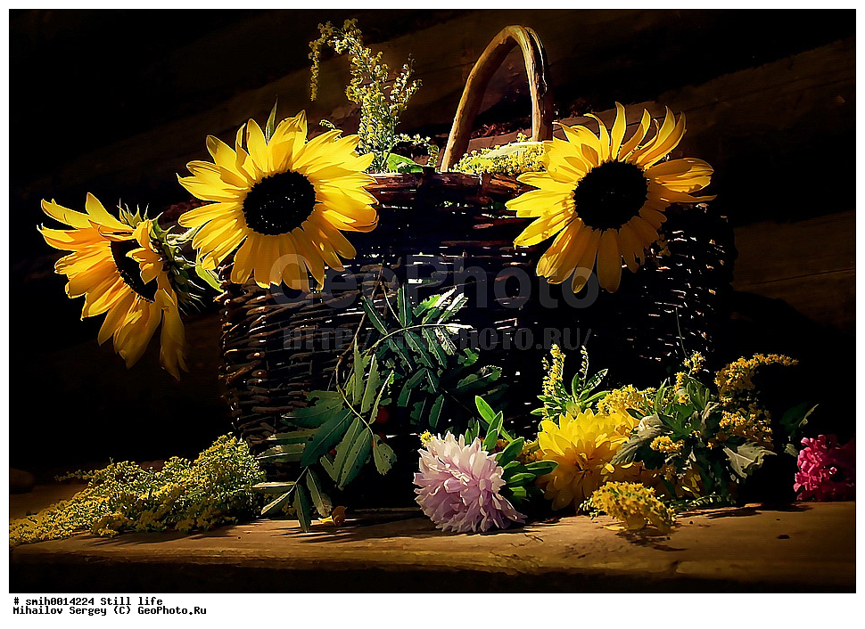 ���������, �����, ����������