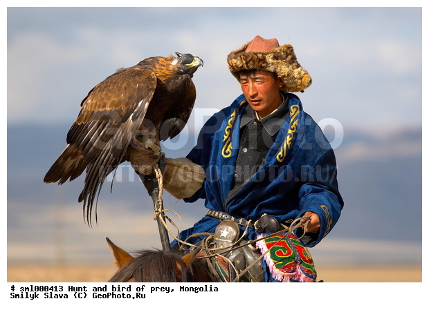 ��������, ������, ��������, ����, �����, ����� � ������� �������, �������, �����, ��������, ��������, �����, �����, ��������, �����������, ������ �����, ������ �����, XYZ, ����������, Accipitridae, Aquila chrysaetos