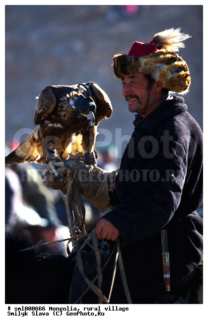 ��������, ������, �������� ���������, ��������, ����, ����, �����, ����� � ������� �������, �������, �����, ��������, ��������, �����, �����, ��������, �����������, ������ �����, ������ �����, XYZ, ����������, Accipitridae, Aquila chrysaetos