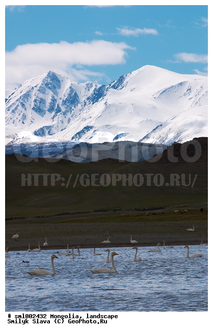 ��������, ������