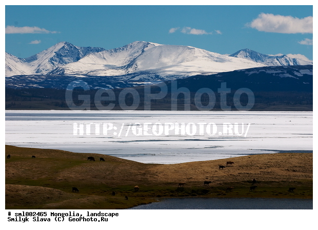 ��������, ������