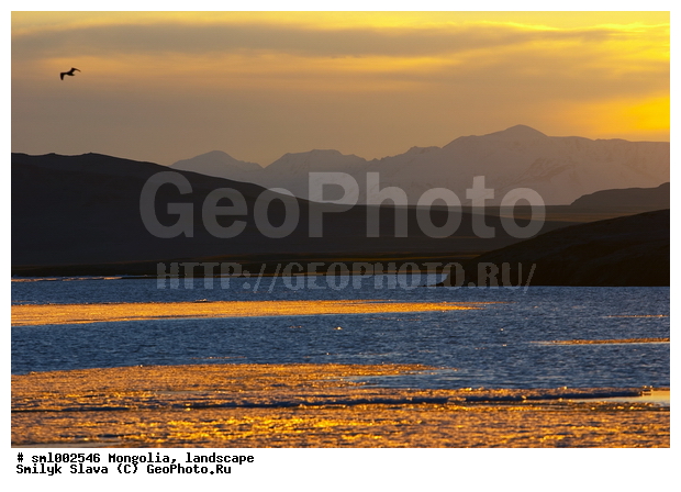 ��������, ������ �����, ����, �����, �����, ������