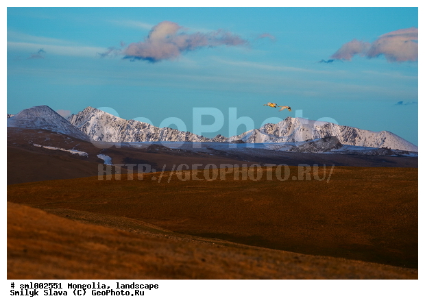 ��������, ������