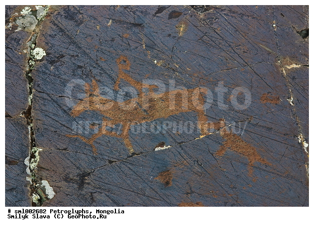 ��������, ���������� �������, ����������