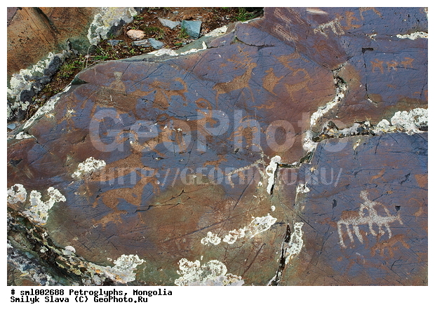 ��������, ���������� �������, ����������