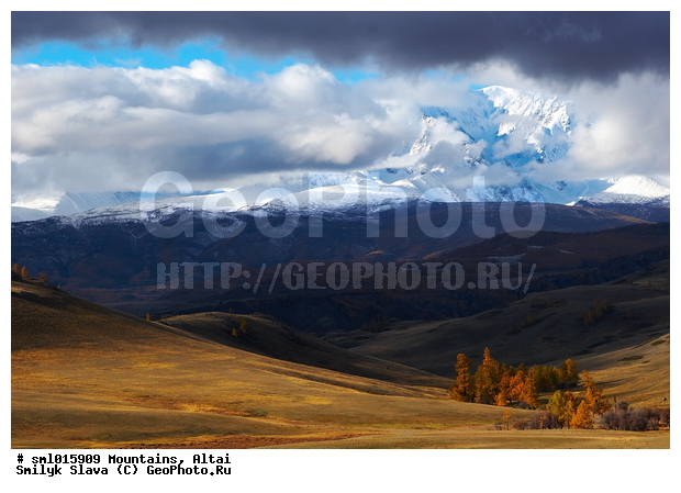 �����, ����