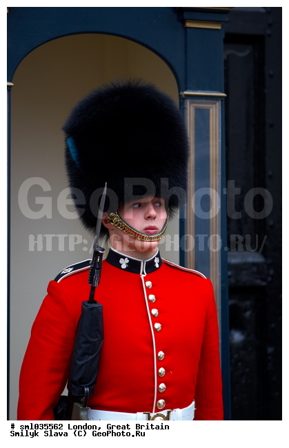 ��������������, ������