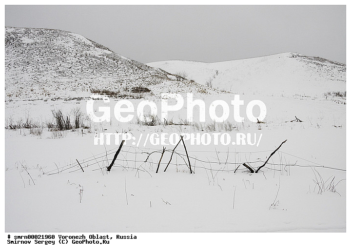 2010, ����������� �������, ���, �����, �����, ����, �������, �����������, ���� ���������, �����, ����, �����, ����, �