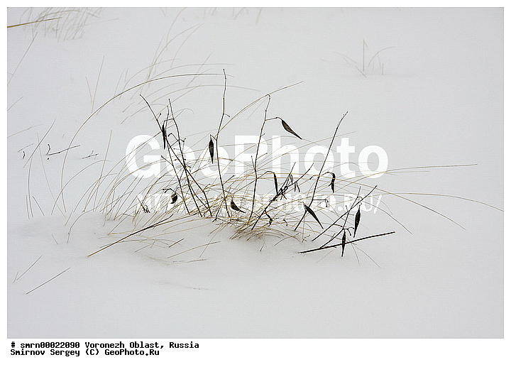 2010, ����������� �������, ����, ���� ���������, ��������