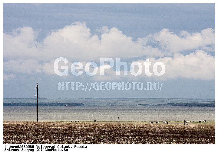 ������������� �������, ����������� �����, ����, �������, �����, ������, ���, ����, ������, �������, ����, �����, �����, ���������������