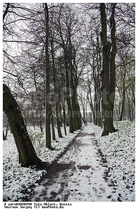 �������� �������, ٸ������� �����, �����, �����, �������, ����