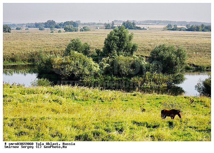 ��������� �����, �������� �������, �����, �������, ���, ���������, ����, ����, ������, ���, ������, ���� ������������, �����, ������, ��������, ��������, �������������, �������������, �����, �����, XYZ, ���������, Equidae, �������� ������, Equus ferus caballus, ������, ��������, ��������, �������������, �������������, �����, �����, XYZ, ���������, Equidae, �������� ������, Equus ferus caballus