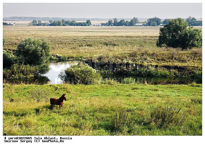 ��������� �����, �������� �������, �����, �������, ���, ���������, ����, ����, ������, ���, ������, ���� ������������, �����, ������, ��������, ��������, �������������, �������������, �����, �����, XYZ, ���������, Equidae, �������� ������, Equus ferus caballus, ������, ��������, ��������, �������������, �������������, �����, �����, XYZ, ���������, Equidae, �������� ������, Equus ferus caballus